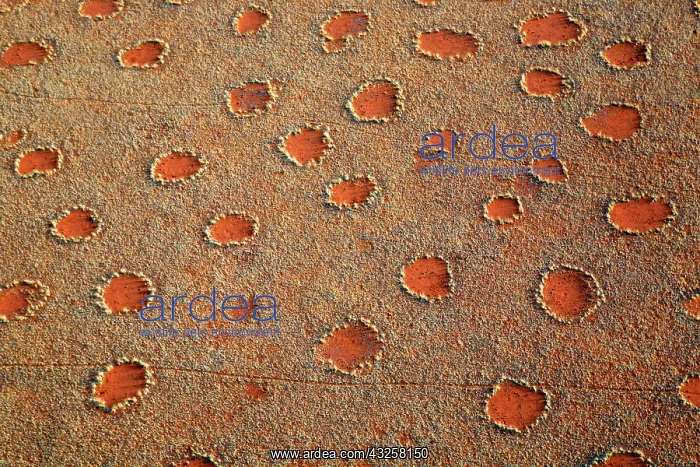 : Africa, Namibia, Sossusvlei. Aerial view : Africa, Namibia, Sossusvlei. Aerial view