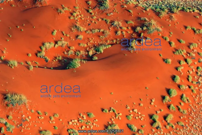 : Africa, Namibia, Sossusvlei. Aerial view : Africa, Namibia, Sossusvlei. Aerial view