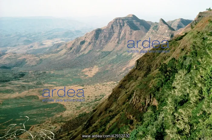  : Africa - Rift Valley at 8, 000 ftKenya, Africa