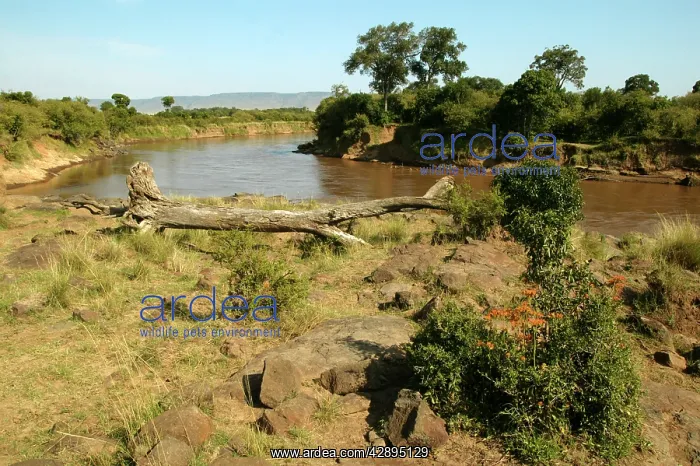  : AFRICA - River
