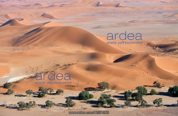  : Africa - sandhills