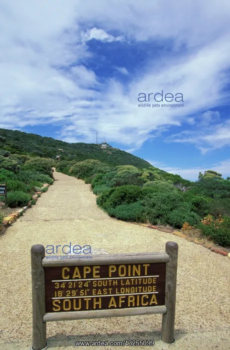 : Africa, South Africa, Cape of Good Hope : Africa, South Africa, Cape of Good Hope