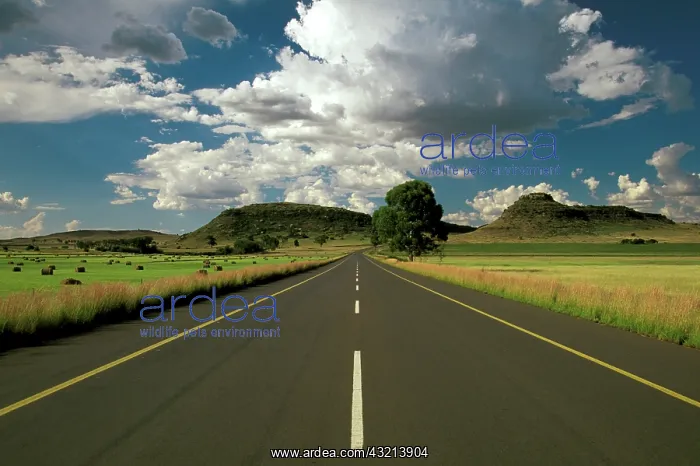 : Africa, South Africa, The Free State, Clocolan : Africa, South Africa, The Free State, Clocolan