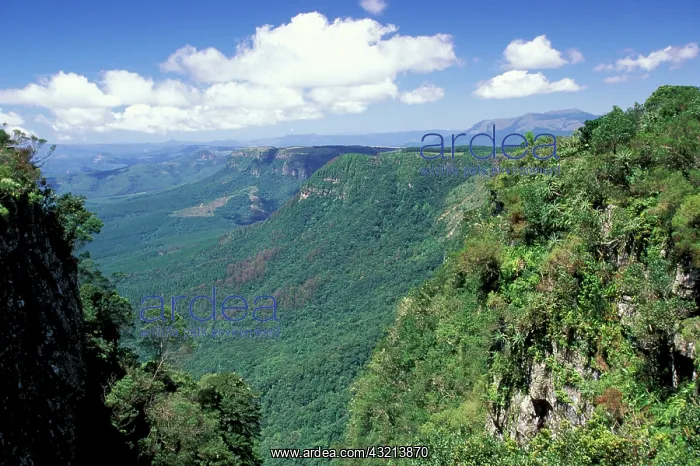 : Africa, South Africa, Mpumalanga, Klein : Africa, South Africa, Mpumalanga, Klein