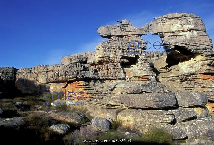 : Africa, South Africa, Western Cape Province : Africa, South Africa, Western Cape Province