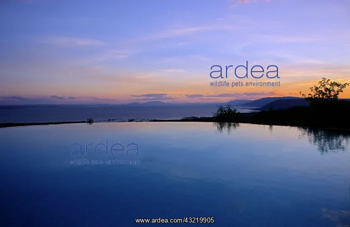 : Africa, Tanzania, Lake Manyara Serena Lodge's : Africa, Tanzania, Lake Manyara Serena Lodge's