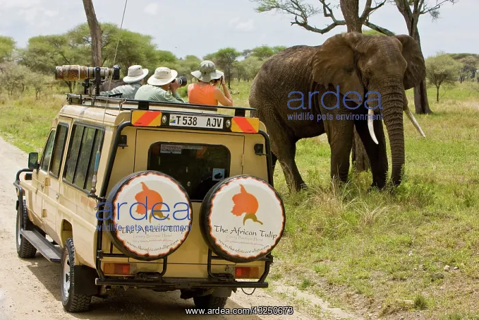 : Africa. Tanzania. Photographers capture : Africa. Tanzania. Photographers capture