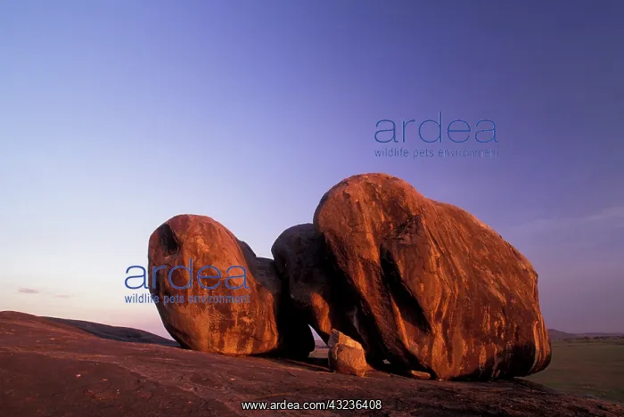 : Africa, Tanzania, Serengeti National Park : Africa, Tanzania, Serengeti National Park