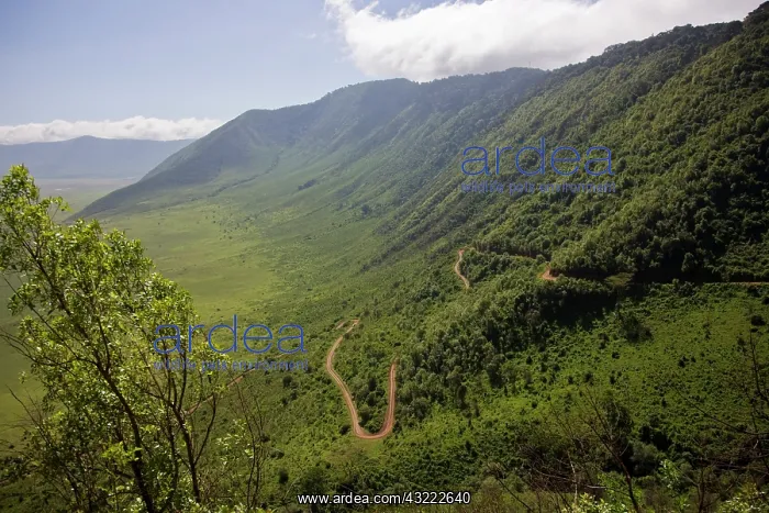 : Africa. Tanzania. Steep ascent on the road : Africa. Tanzania. Steep ascent on the road