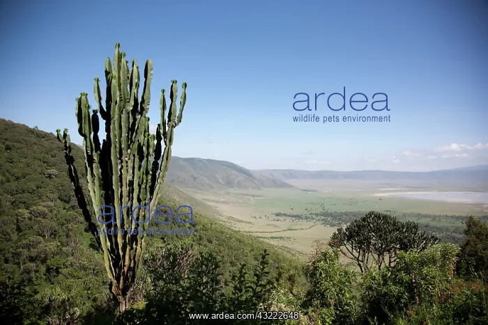 : Africa. Tanzania. View on the road leading : Africa. Tanzania. View on the road leading