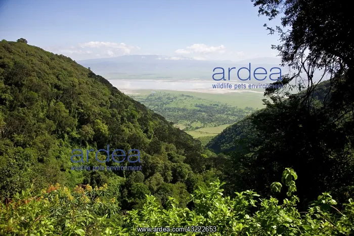 : Africa. Tanzania. View on the road leading : Africa. Tanzania. View on the road leading