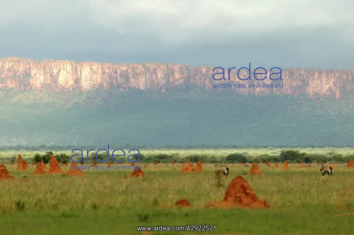 : Africa - Waterberg plateau : Africa - Waterberg plateau