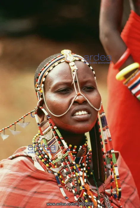 : AFRICA - Young Maasai woman in traditional dress : AFRICA - Young Maasai woman in traditional dress