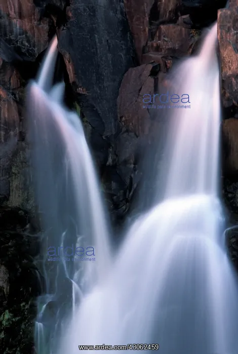 : Africa, Zambia, Mosi-Oa-Tunya National Park : Africa, Zambia, Mosi-Oa-Tunya National Park