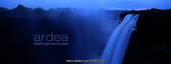 : Africa, Zambia, Mosi-Oa-Tunya National Park : Africa, Zambia, Mosi-Oa-Tunya National Park