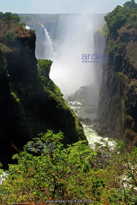 : Africa, Zimbabwe, Victoria Falls. Victoria : Africa, Zimbabwe, Victoria Falls. Victoria