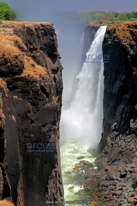 : Africa, Zimbabwe, Victoria Falls. Victoria : Africa, Zimbabwe, Victoria Falls. Victoria