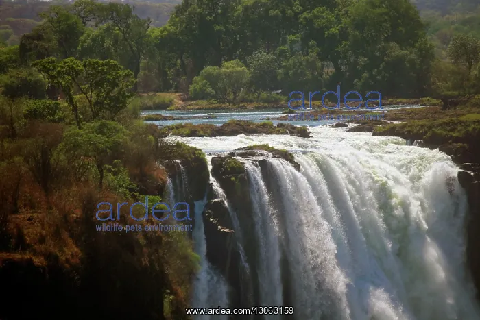 : Africa, Zimbabwe, Victoria Falls. Victoria : Africa, Zimbabwe, Victoria Falls. Victoria