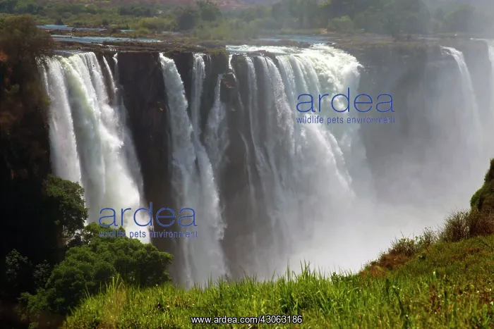 : Africa, Zimbabwe, Victoria Falls. Victoria : Africa, Zimbabwe, Victoria Falls. Victoria