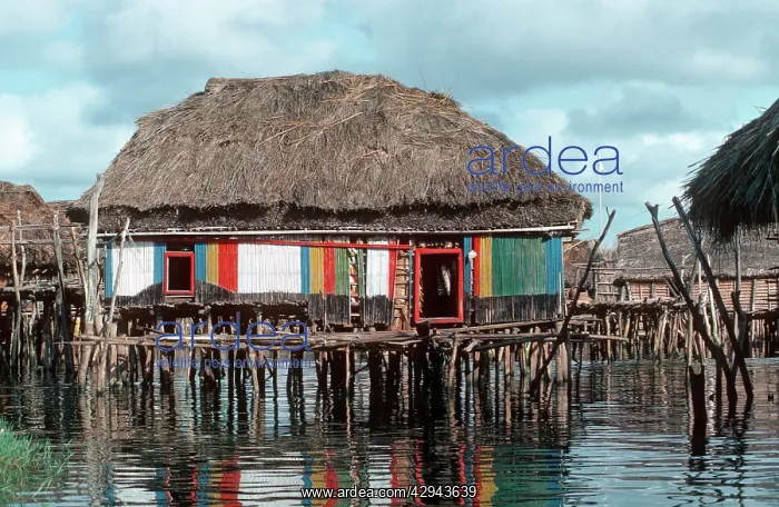 : African bamboo hut built on stilts in fishing village : African bamboo hut built on stilts in fishing village