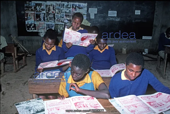 : African primary school children in rural classroom : African primary school children in rural classroom