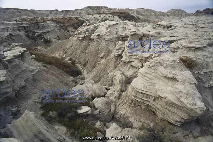: Agate Fossil Beds National Monument : Agate Fossil Beds National Monument