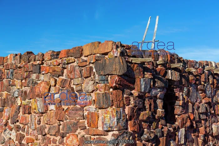 : Agate house, Petrified Forest National Park, Arizona : Agate house, Petrified Forest National Park, Arizona