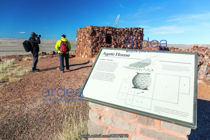 : Agate house, Petrified Forest National Park, Arizona : Agate house, Petrified Forest National Park, Arizona