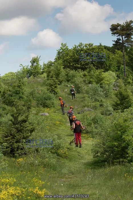 : Agents cleaning a tourist trail in spring maintenance : Agents cleaning a tourist trail in spring maintenance