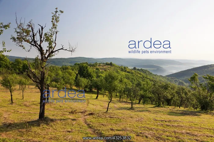 : Aggtelek national park, view of the Selce : Aggtelek national park, view of the Selce