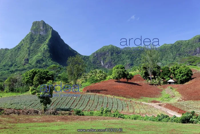 : Agricultural land, arable land, cultivation, in : Agricultural land, arable land, cultivation, in