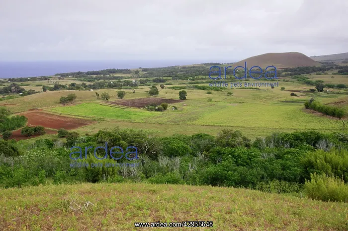 : Agricultural land and coast from Puna Pau.east : Agricultural land and coast from Puna Pau.east