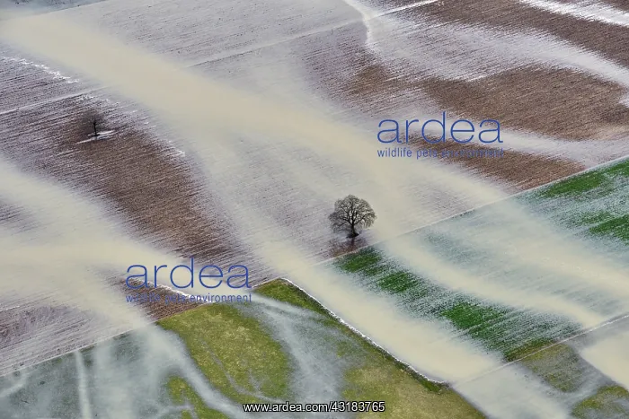 : Agricultural land flooded by the Allan flood, Allenjoie : Agricultural land flooded by the Allan flood, Allenjoie