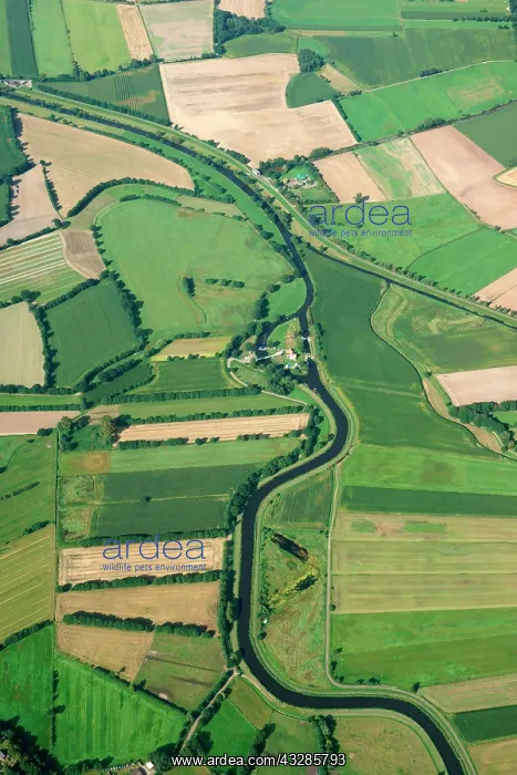 : Agricultural land on the Neetzekanal, Neeze, Lower : Agricultural land on the Neetzekanal, Neeze, Lower