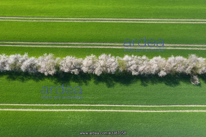 : Agricultural landscape : Agricultural landscape