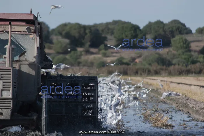  : Agricultural practice perfectly compatible with the environm