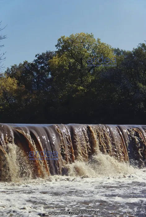 : Agricultural Runoff : Agricultural Runoff