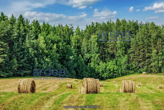 : Agriculture background, a stunning summer landscape : Agriculture background, a stunning summer landscape