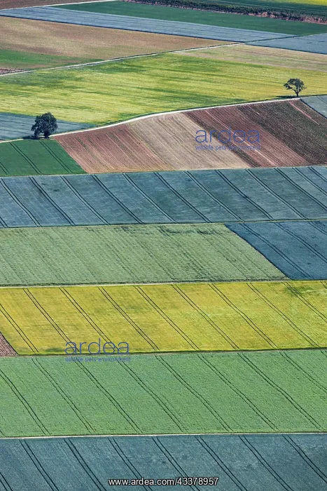 : Agriculture fields at the foot of the Swabian Alb : Agriculture fields at the foot of the Swabian Alb