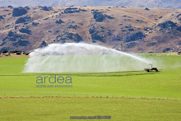 : Agriculture - High pressure irrigation of pasture : Agriculture - High pressure irrigation of pasture