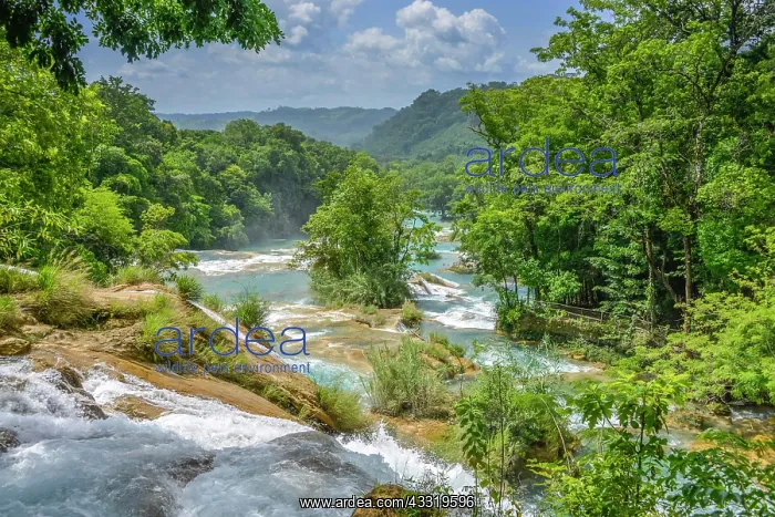 : Agua Azul Waterfalls, Chiapas, Mexico, Central America : Agua Azul Waterfalls, Chiapas, Mexico, Central America