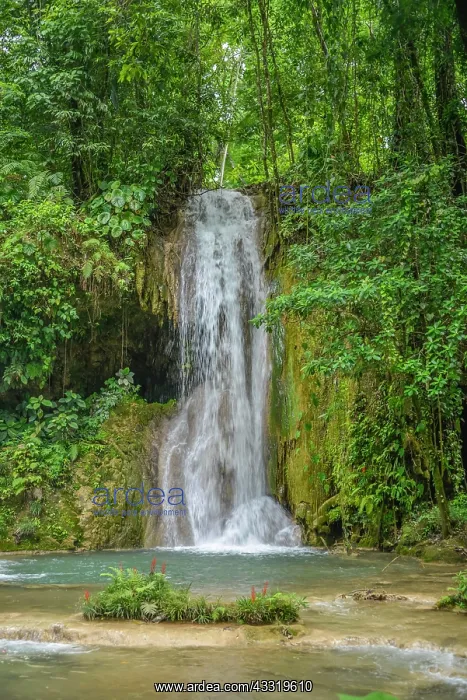 : Agua Azul Waterfalls, Chiapas, Mexico, Central America : Agua Azul Waterfalls, Chiapas, Mexico, Central America