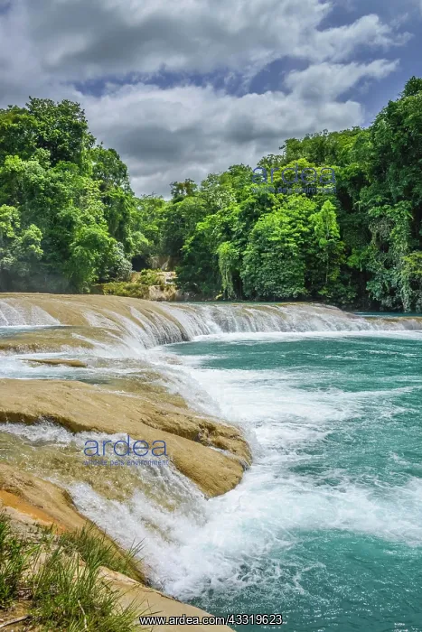 : Agua Azul Waterfalls, Chiapas, Mexico, Central America : Agua Azul Waterfalls, Chiapas, Mexico, Central America