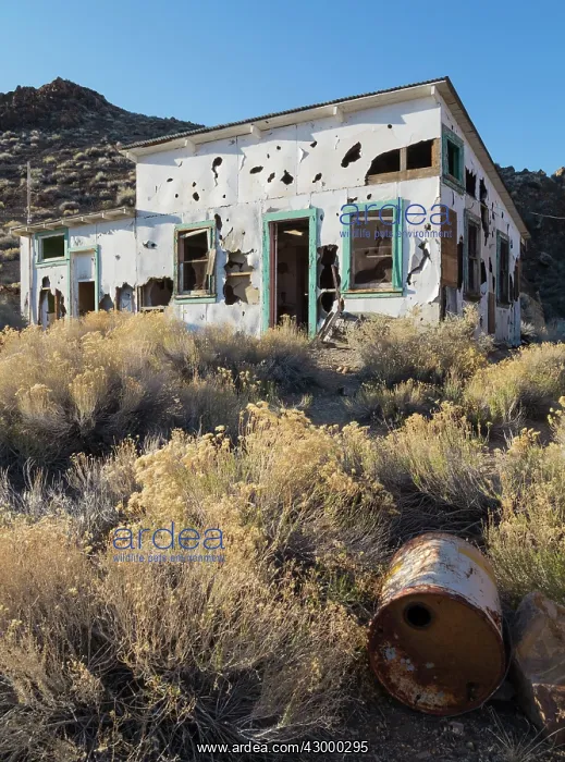  : Aguereberry Camp in the Panamint Range
