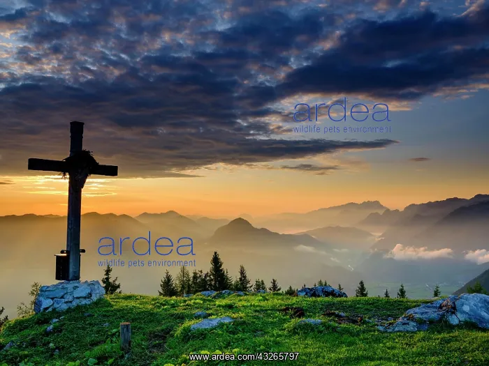 : Ahornb&, x23a3396e;kopf with summit cross, view at : Ahornb&, x23a3396e;kopf with summit cross, view at
