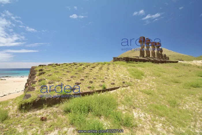 : Ahu platform and Moais statues of the Ahu Nau Nau : Ahu platform and Moais statues of the Ahu Nau Nau