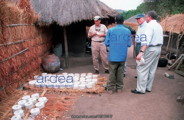  : Aid advisors inspecting fuel brickette making project