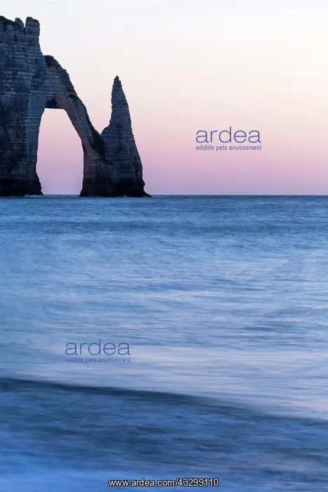 : Aiguille d'Etretat and Porte d'Aval in the evening : Aiguille d'Etretat and Porte d'Aval in the evening