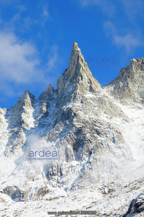: Aiguille de la Tsa, 3668 m, Valais, Switzerland : Aiguille de la Tsa, 3668 m, Valais, Switzerland