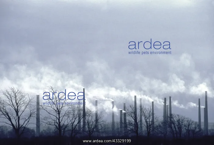 : AIR POLLUTION - (Especially Fluorine), Brickwork Chimneys : AIR POLLUTION - (Especially Fluorine), Brickwork Chimneys